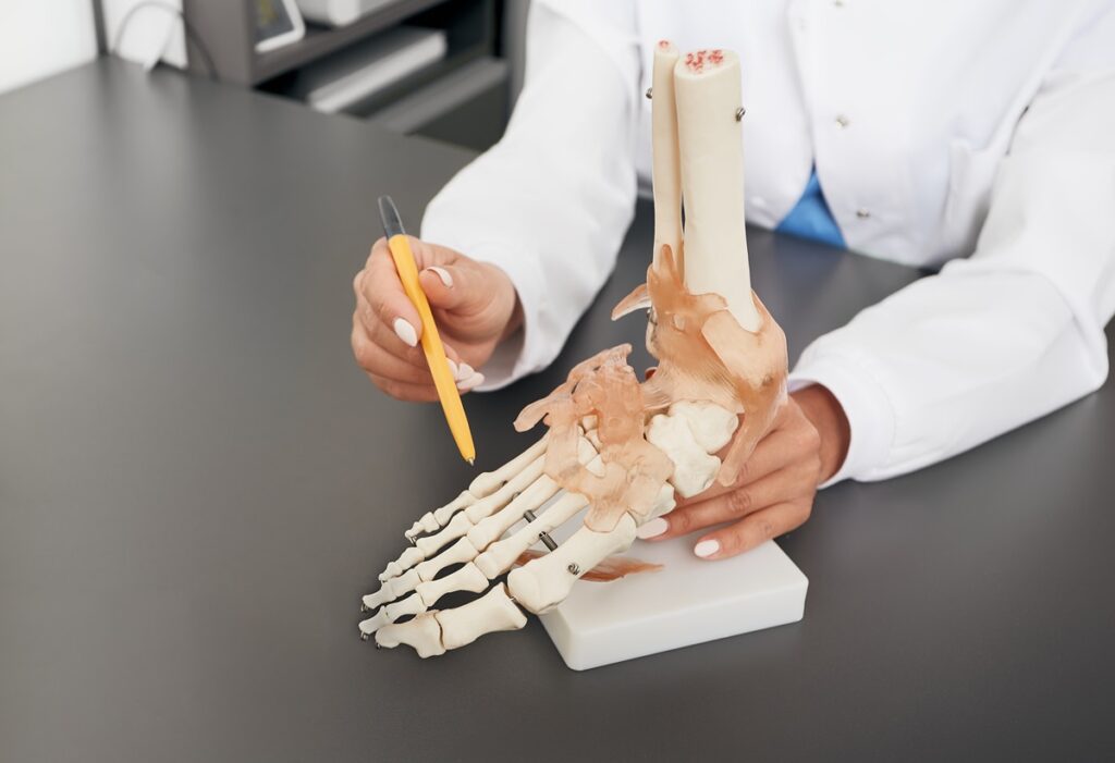 Guia Completo da Anatomia do Pé Humano