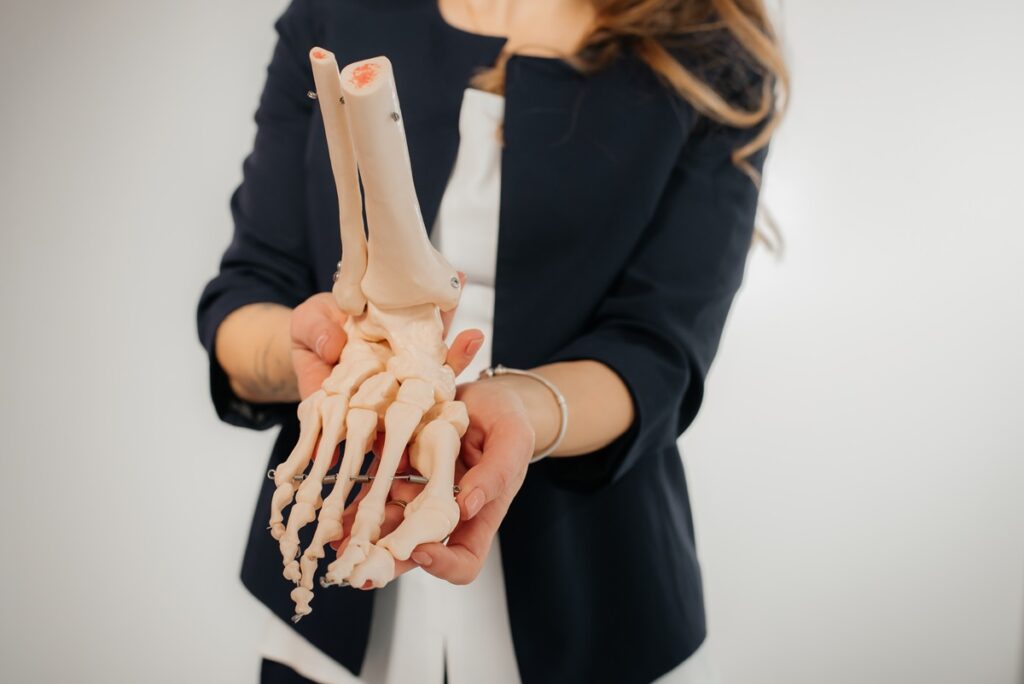 Tálus: Anatomia e Função no Tornozelo